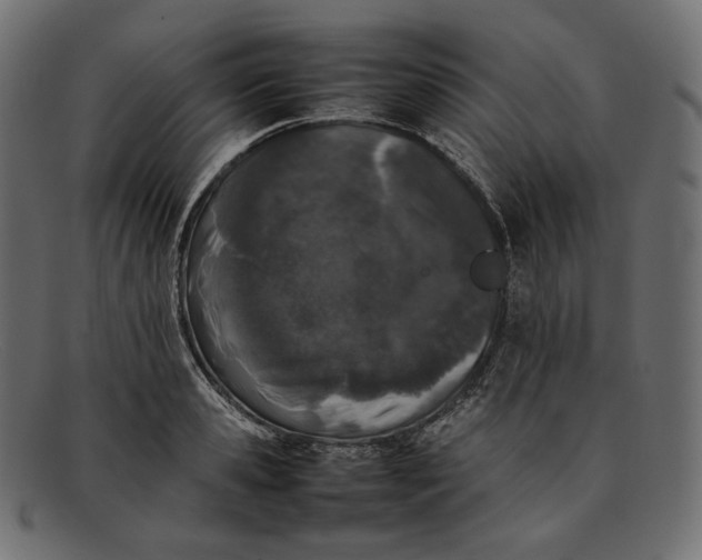 X0000092060941200710101031