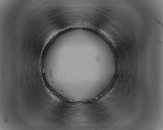 X0000092060942200710101031