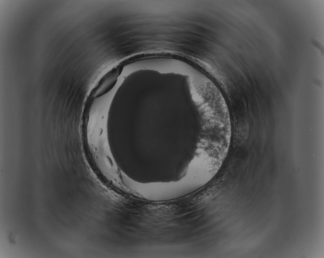 X0000092060943200710101031