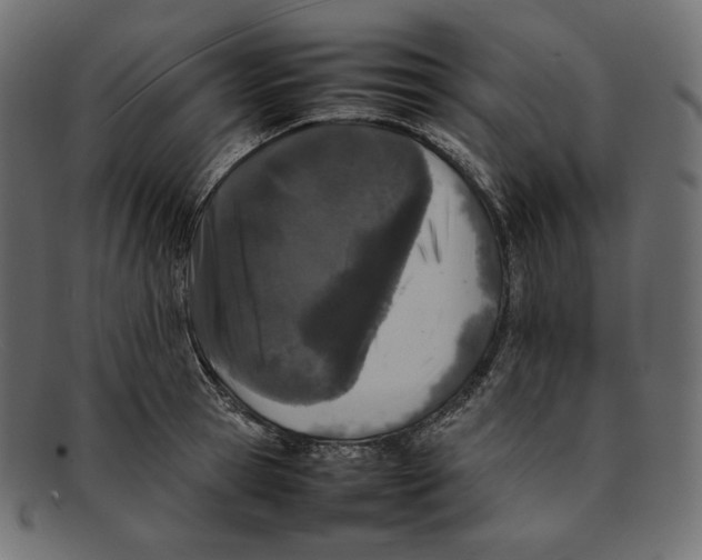 X0000092060945200710101031