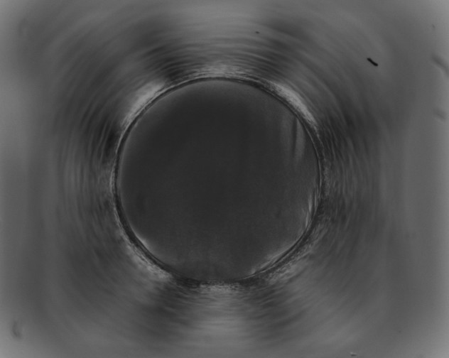 X0000092060946200710101031