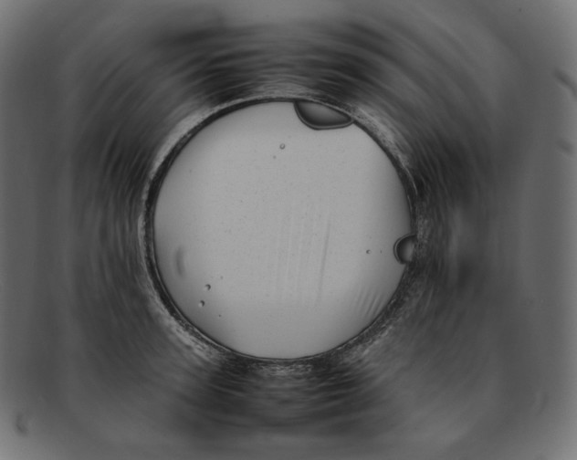 X0000092060947200710101031