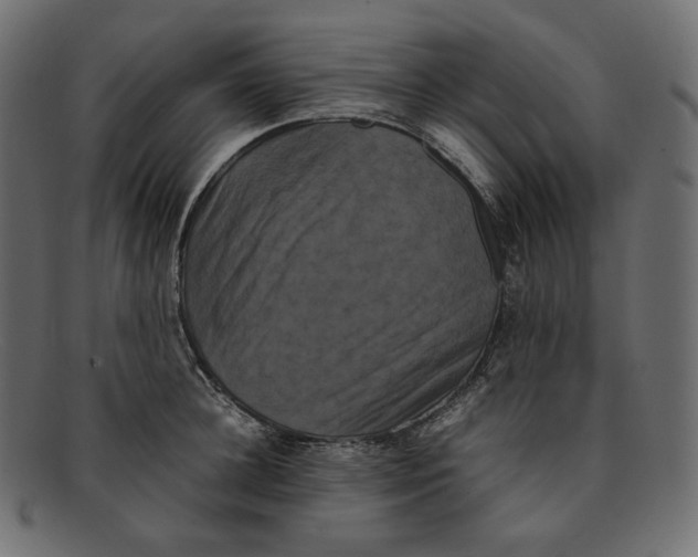 X0000092060948200710101031