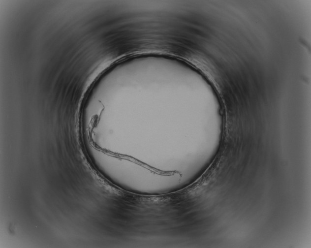 X0000092060949200710101031