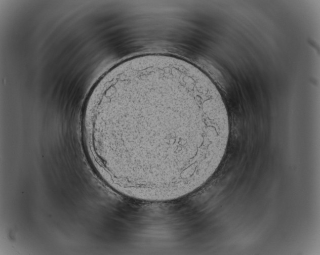 X0000092060950200710101031