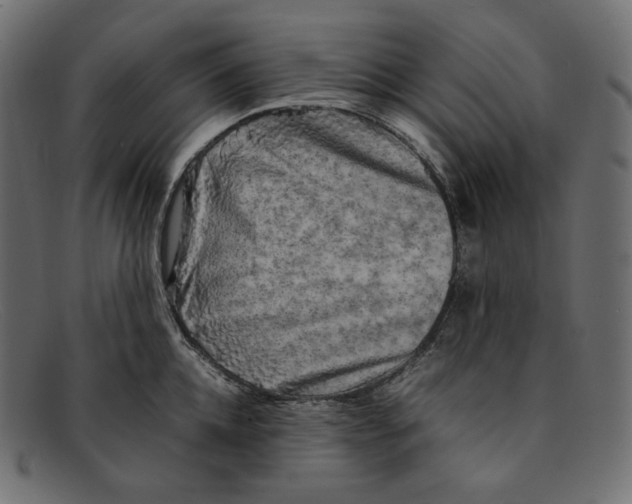 X0000092060952200710101031