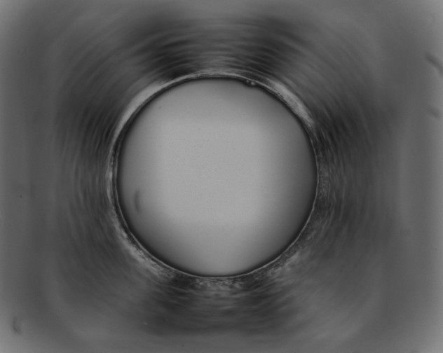 X0000092060955200710101031