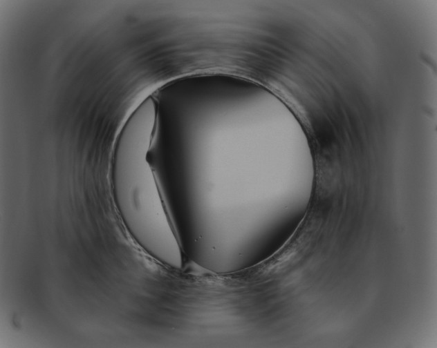 X0000092060956200710101031