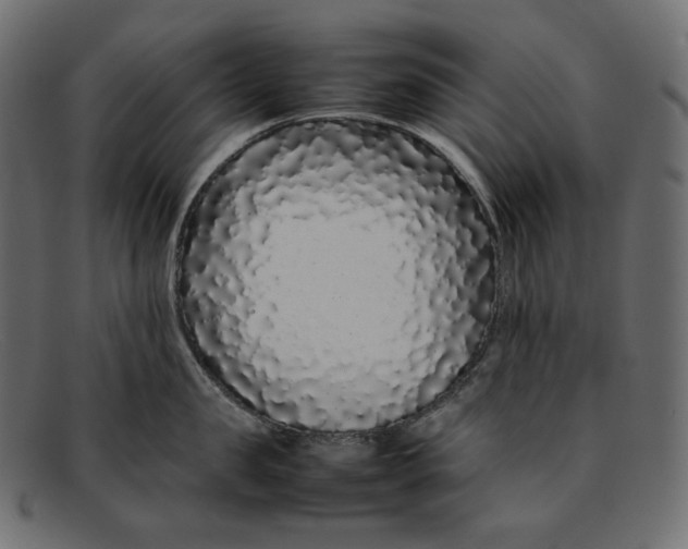 X0000092060957200710101031