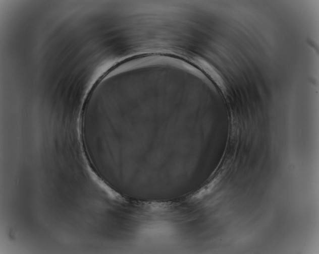 X0000092060958200710101031