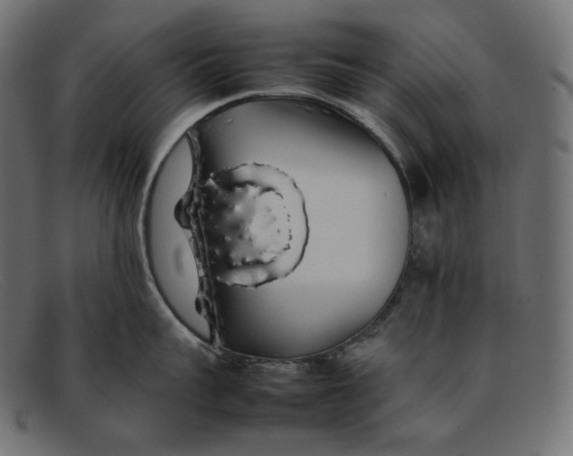 X0000092060959200710101031