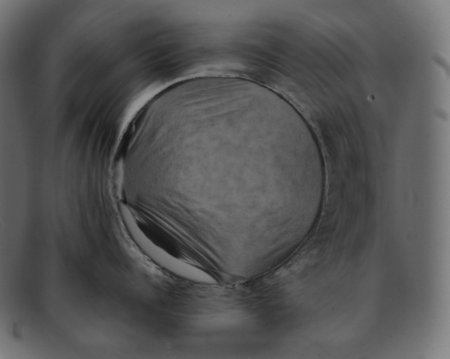 X0000092060960200710101031