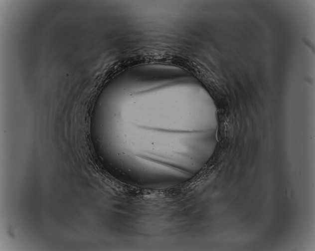 X0000092060961200710101031