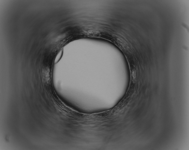 X0000092060963200710101031