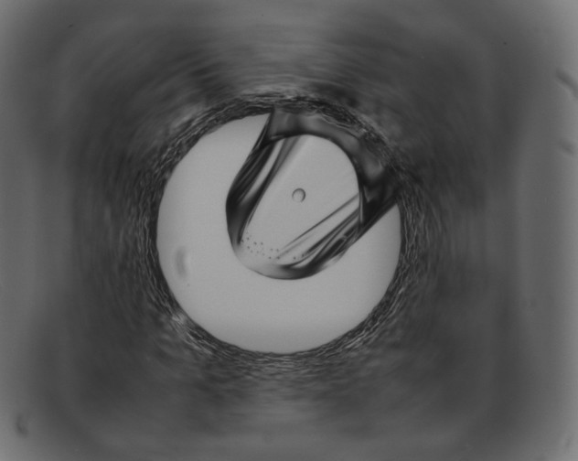 X0000092060965200710101031