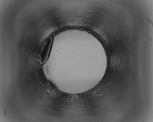 X0000092060968200710101031