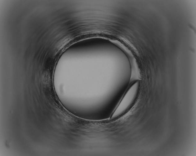 X0000092060969200710101031