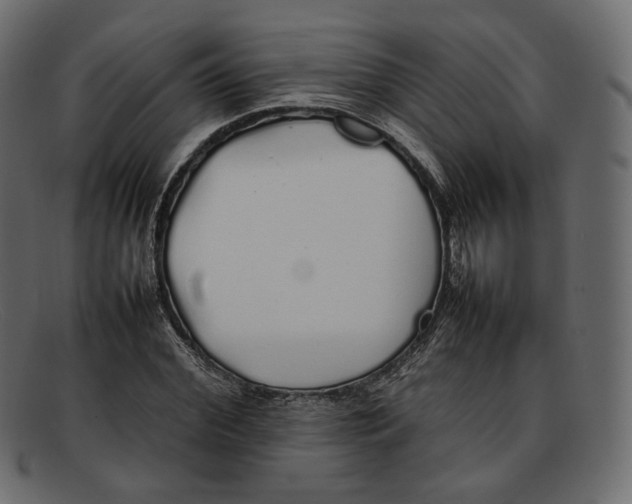 X0000092060972200710101031