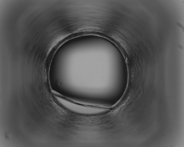 X0000092060973200710101031