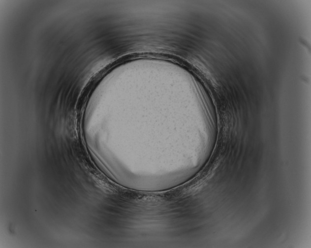 X0000092060974200710101031