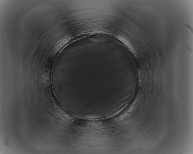 X0000092060977200710101031