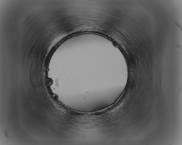 X0000092060981200710101031