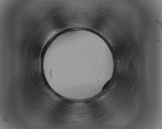 X0000092060982200710101031