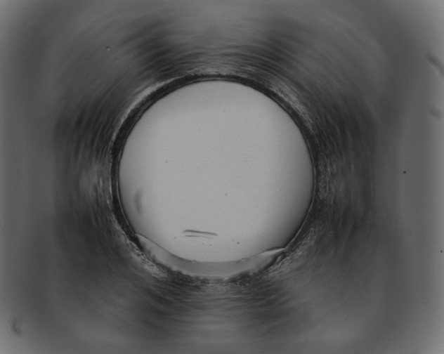 X0000092060984200710101031