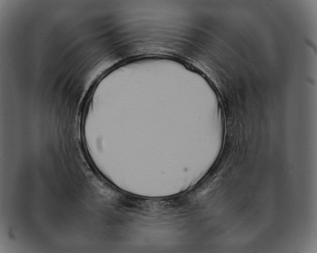 X0000092060987200710101030