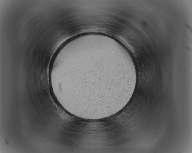 X0000092060988200710101030