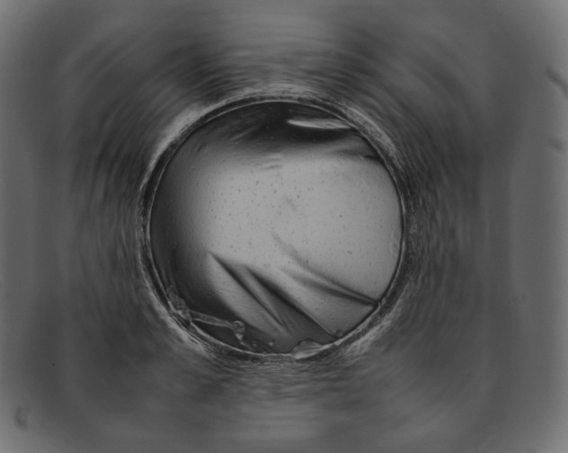 X0000092060989200710101030