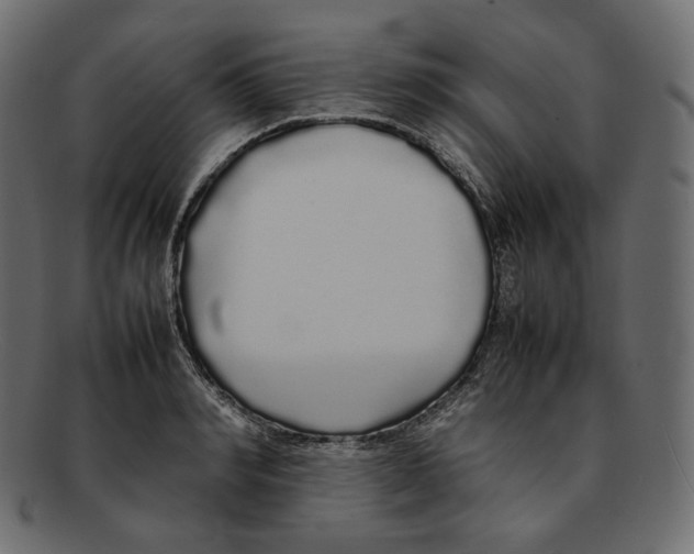 X0000092060990200710101030