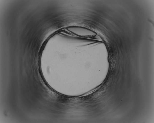 X0000092060991200710101030