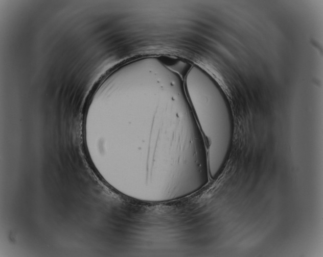 X0000092060992200710101030