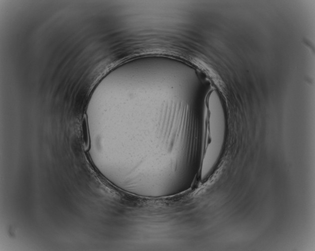 X0000092060993200710101030