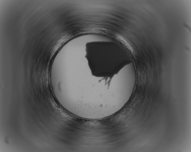 X0000092060994200710101030