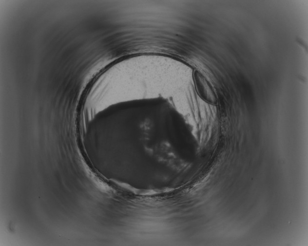 X0000092060995200710101030