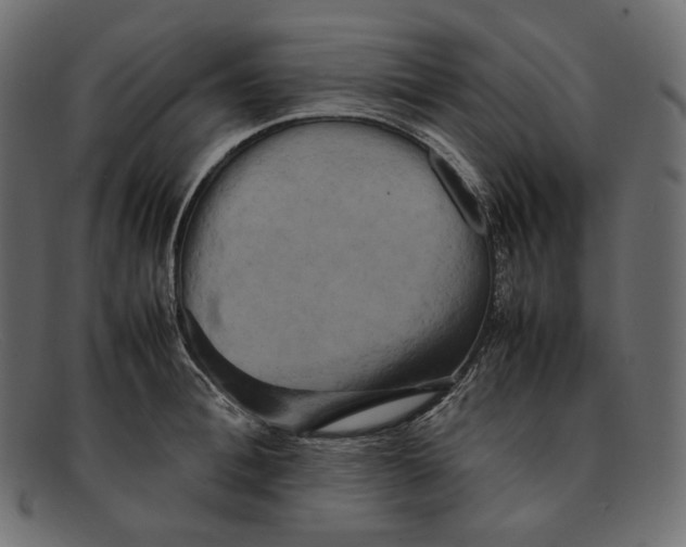 X0000092060996200710101030