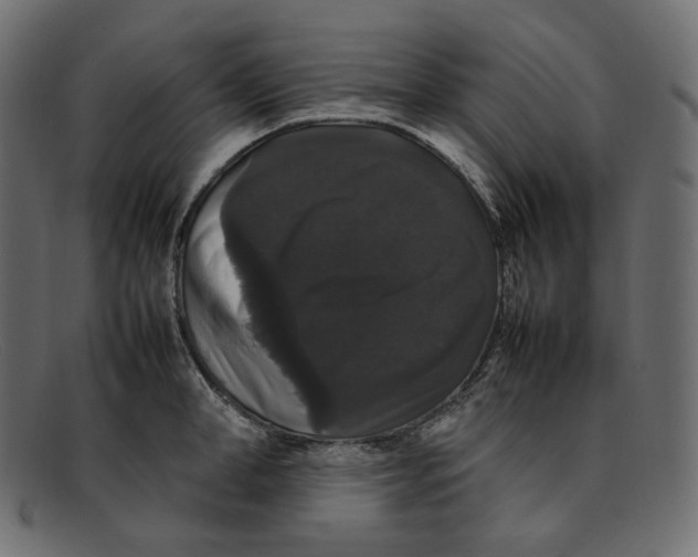 X0000092060998200710101030