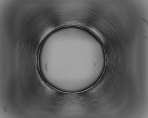 X0000092060999200710101030