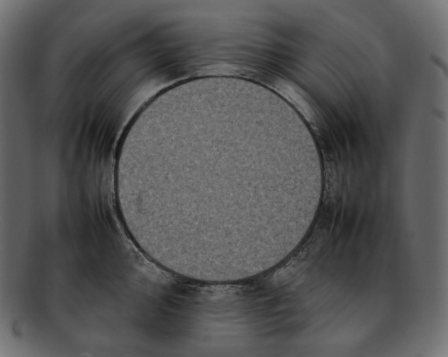 X0000092061000200710101030