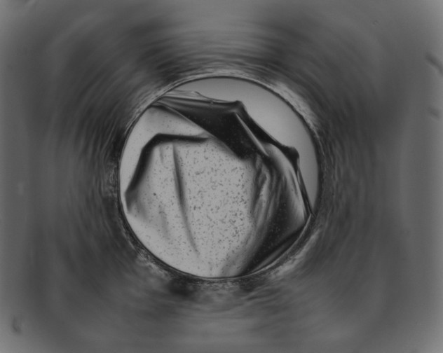 X0000092061001200710101030