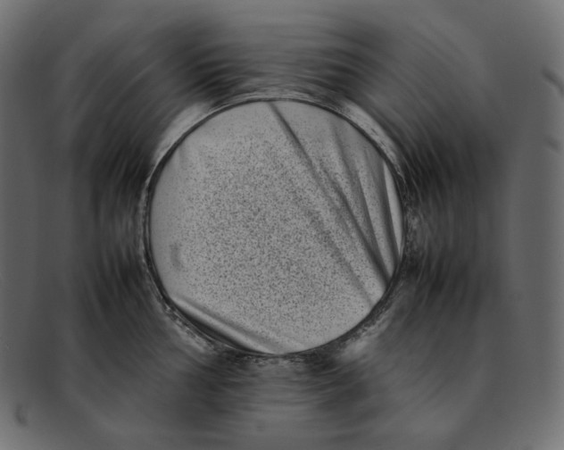 X0000092061002200710101030