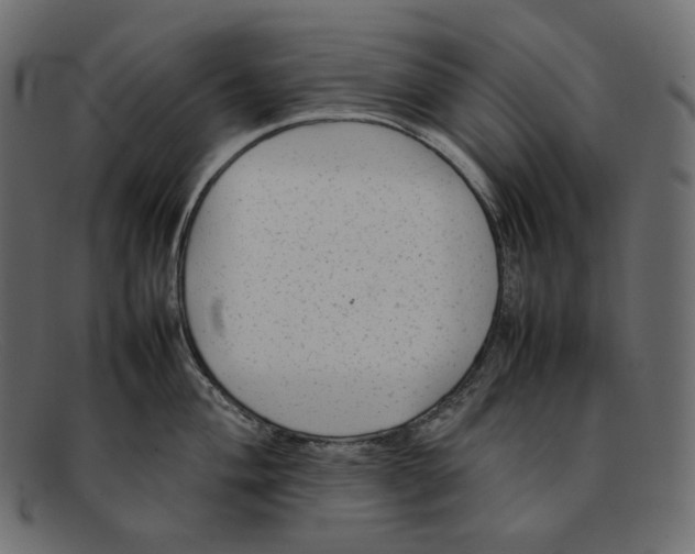 X0000092061004200710101030