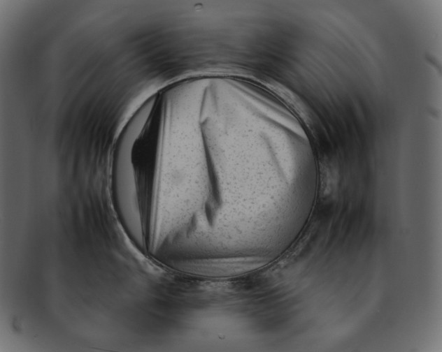 X0000092061006200710101030