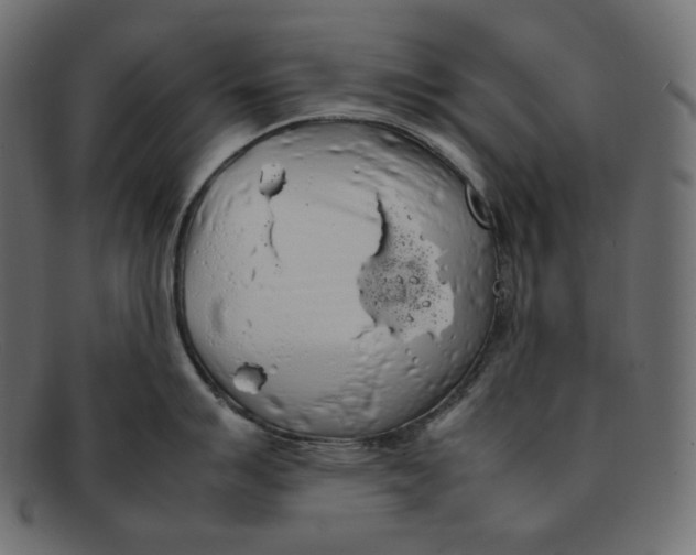 X0000092061007200710101030