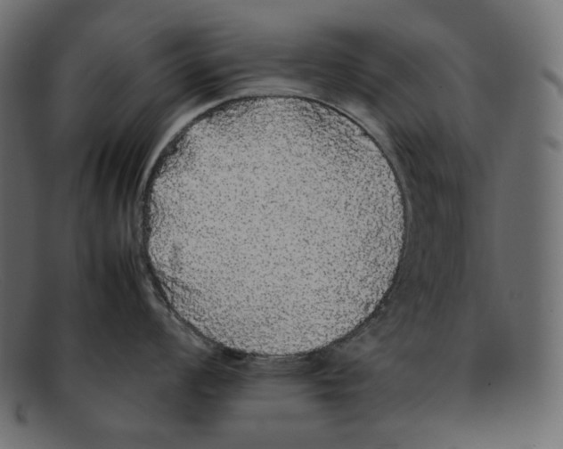 X0000092061008200710101030