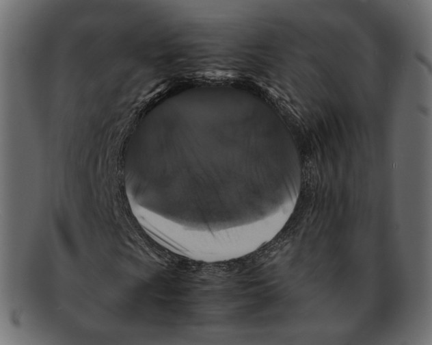 X0000092061009200710101030