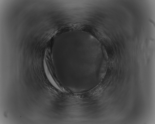 X0000092061010200710101030