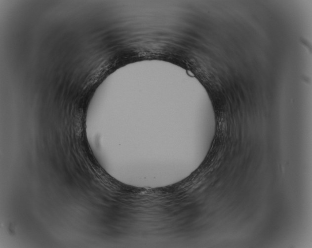 X0000092061012200710101030